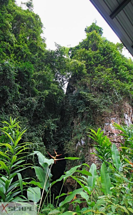 فيلا Xscape Tambun ايبوه المظهر الخارجي الصورة